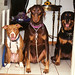Lucy Jackson Photo 38