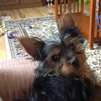 Ann Litke Photo 4