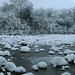 Roy Freeze Photo 10