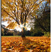 Russell Kent Photo 33