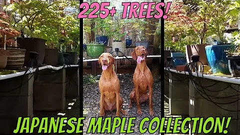 Gregory Maples Photo 16