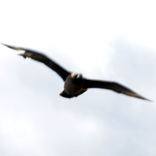 Mark Travers Photo 14