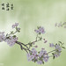 Cheng Qiu Photo 32
