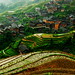 Ping Li Photo 36