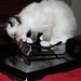 Molly Munch Photo 17