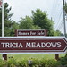 Tricia Meadows Photo 26