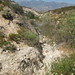 Andrea Pass Photo 18
