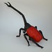 James Beetle Photo 16