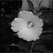 Jennifer Grubbs Photo 41