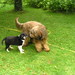 Janice Berger Photo 31