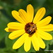 Susan Hawk Photo 43