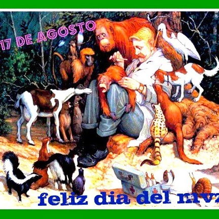Luis Matias Photo 11