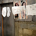 Vivian Chen Photo 45