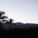 Dawn Prince Photo 32