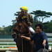 Kevin Middleton Photo 40