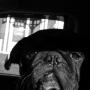Garry Mckay Photo 10