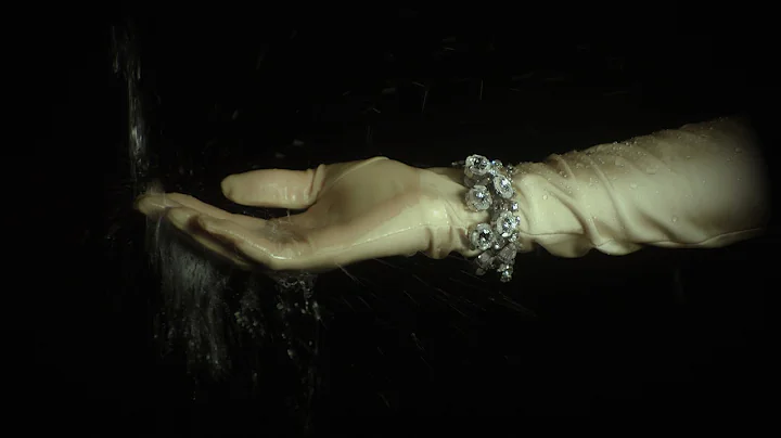 Diana Simon Photo 37