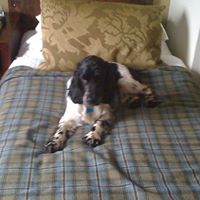 Michele Mcclung Photo 2