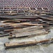Kami Carpenter Photo 24