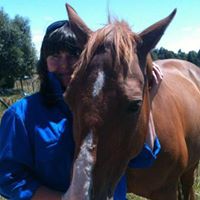 Wendy Wheeler Photo 1