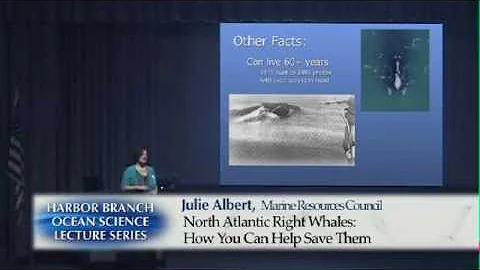 Julie Albert Photo 36