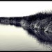 Sergio Lagunas Photo 33