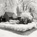 Frances Ford Photo 28
