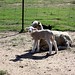 Jeffery Lamb Photo 33