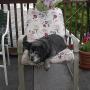 Barbara Dougherty Photo 23