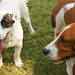 Otis Small Photo 14