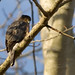 Juanita Hawk Photo 28