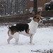 Mattie Russell Photo 30