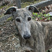 John Craiger Photo 9