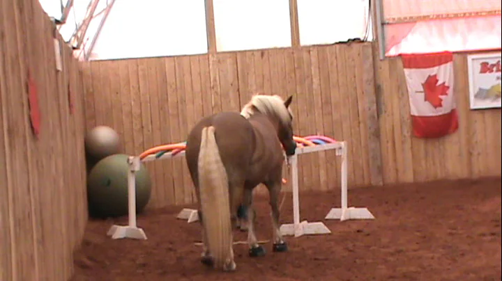 Nancy Ingalls Photo 24