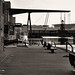 Dock Brown Photo 27