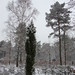 Robert Kempen Photo 18