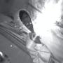 Peter Bui Photo 26