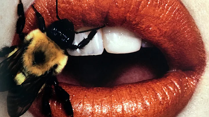 Irving Penn Photo 6