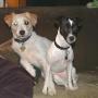 Jay Burleson Photo 18