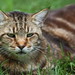 Mark Tufts Photo 24