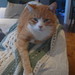 George Newhouse Photo 24