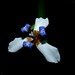 Ryan Flowers Photo 37