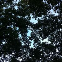 Patrick Field Photo 9