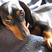 Brandy Henderson Photo 37