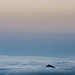 Dawn Macpherson Photo 16