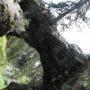 Stacey Ellis Photo 25
