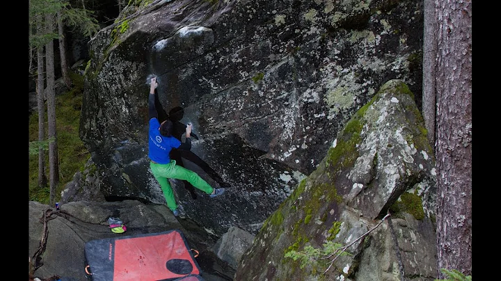 Daniel Mccoll Photo 18