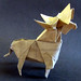 Joseph Moose Photo 27
