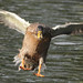 Carolyn Acker Photo 16