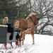 Paul Cutter Photo 28